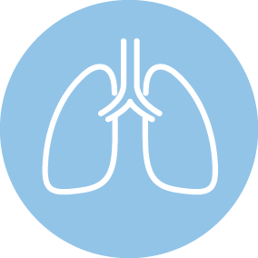 Thoracic_Icon